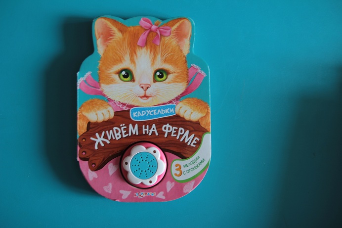 Наши книжки игрушки для самых маленьких