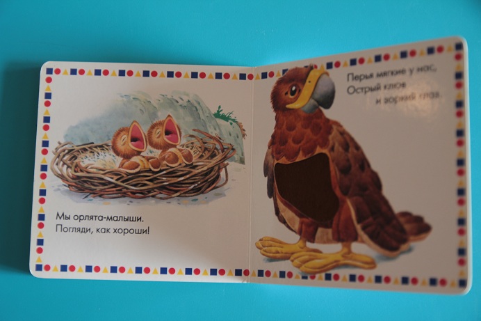 Наши книжки игрушки для самых маленьких