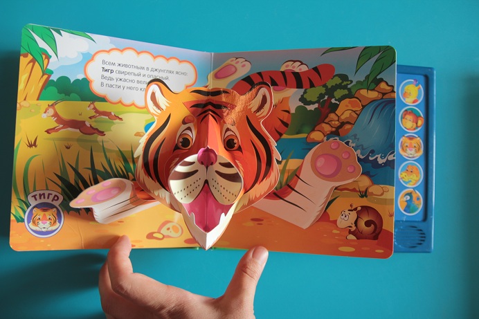 Наши книжки игрушки для самых маленьких