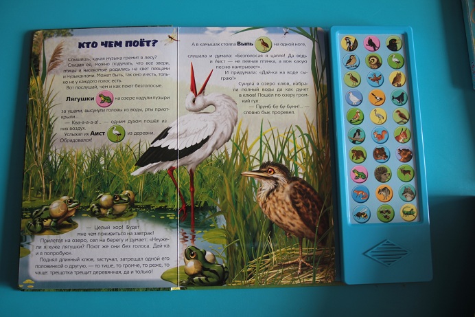 Наши книжки игрушки для самых маленьких