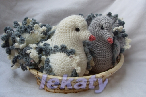 Пара голубей для прекрасного человека