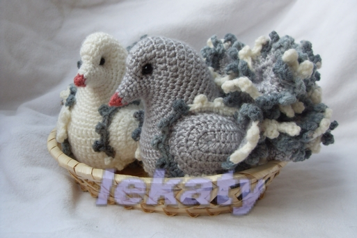 Пара голубей для прекрасного человека