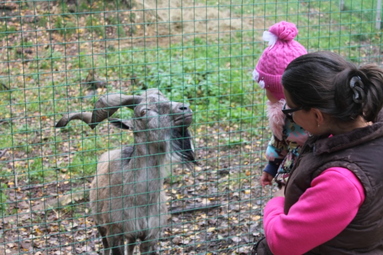 Мирослава познает животный мир.