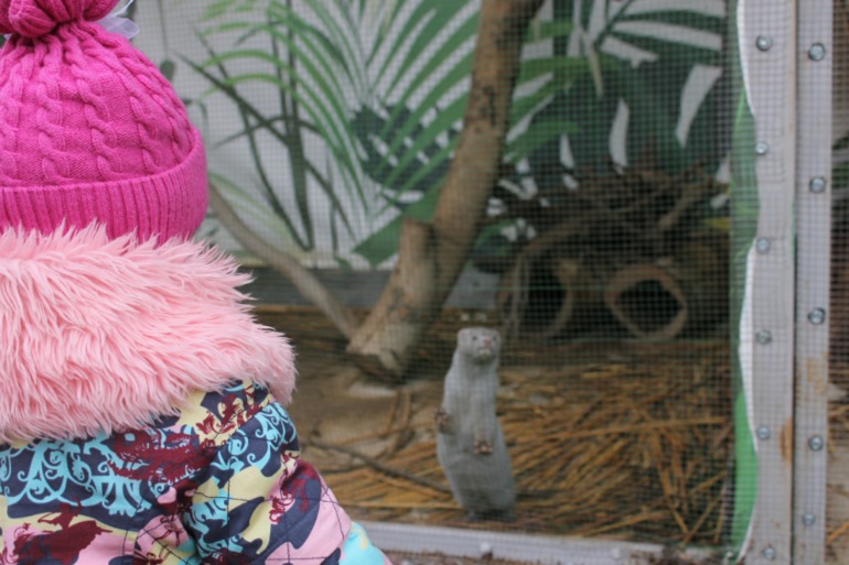 Мирослава познает животный мир.