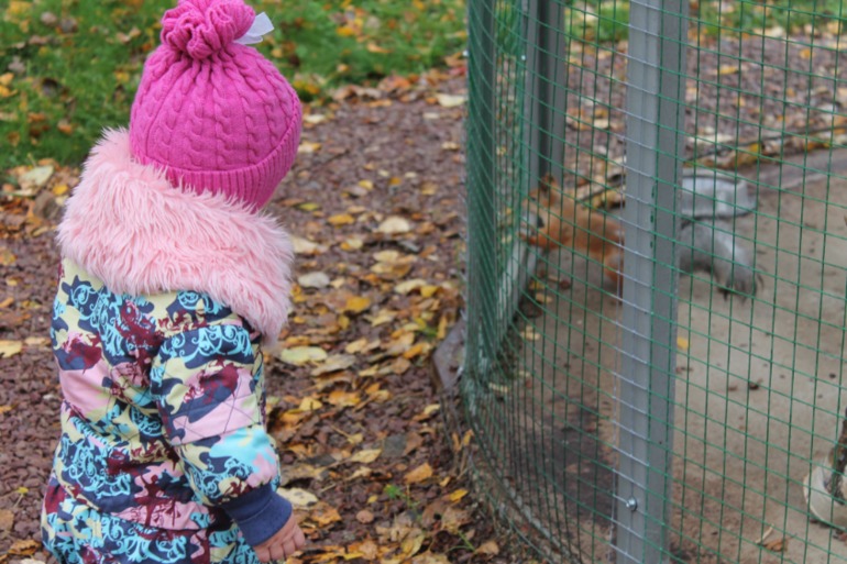 Мирослава познает животный мир.