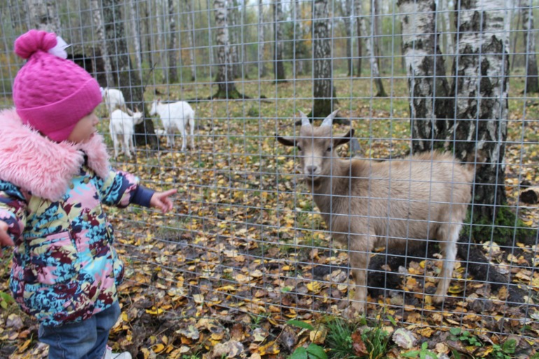 Мирослава познает животный мир.