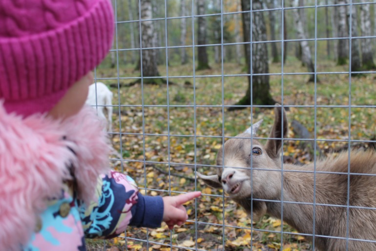 Мирослава познает животный мир.