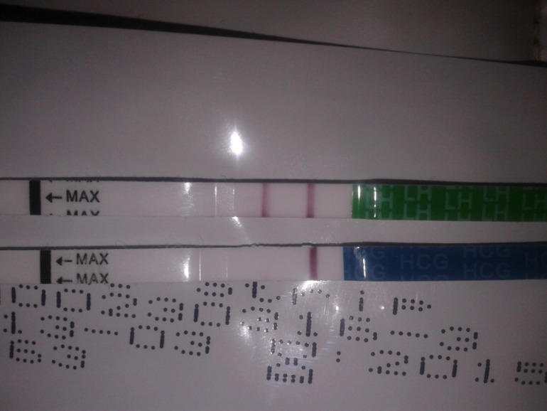 ШОК И ПАНИКА!!!