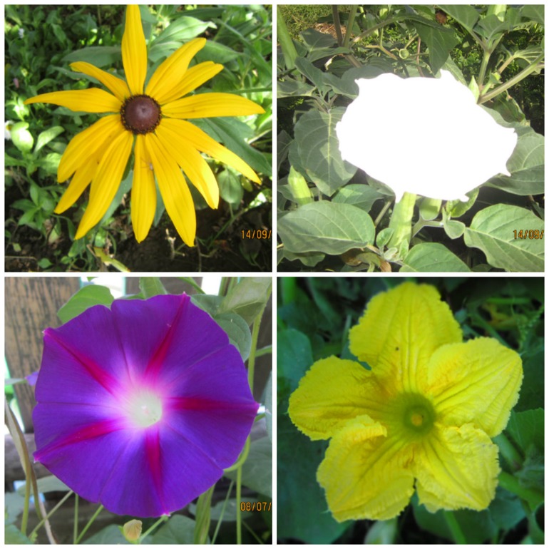 Немного лета.