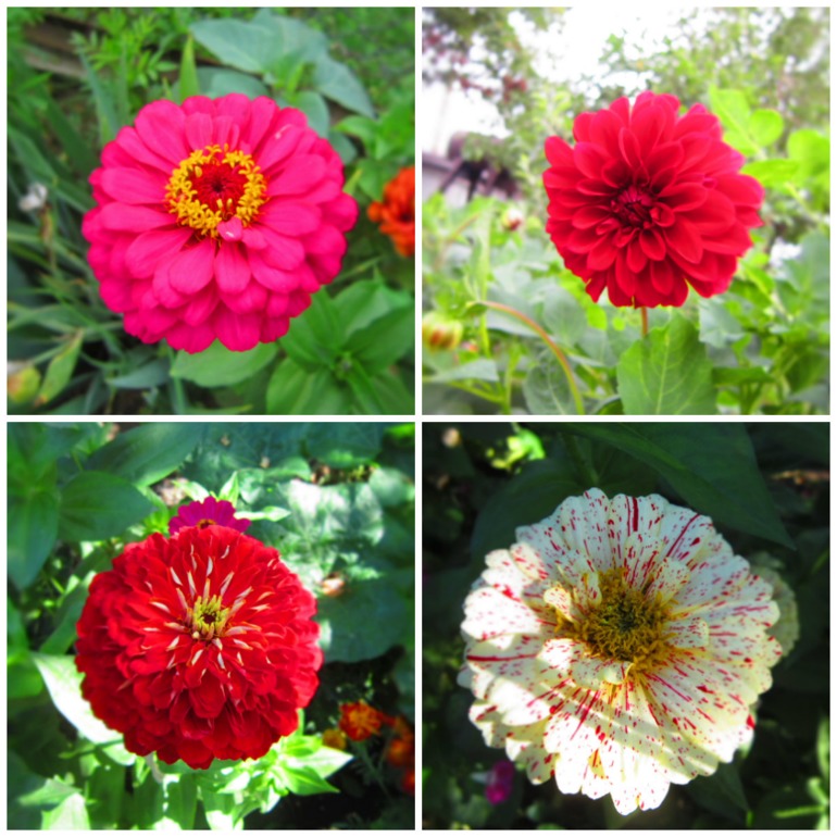 Немного лета.