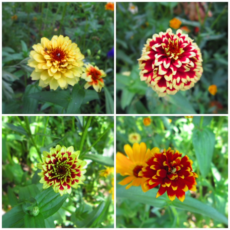 Немного лета.