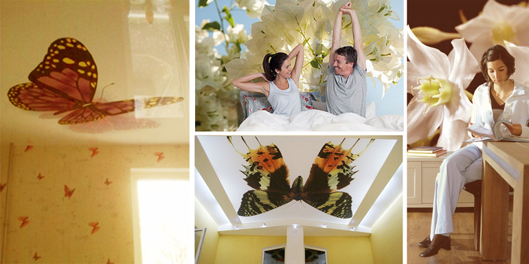 Ошибки дизайна. Фотообои.