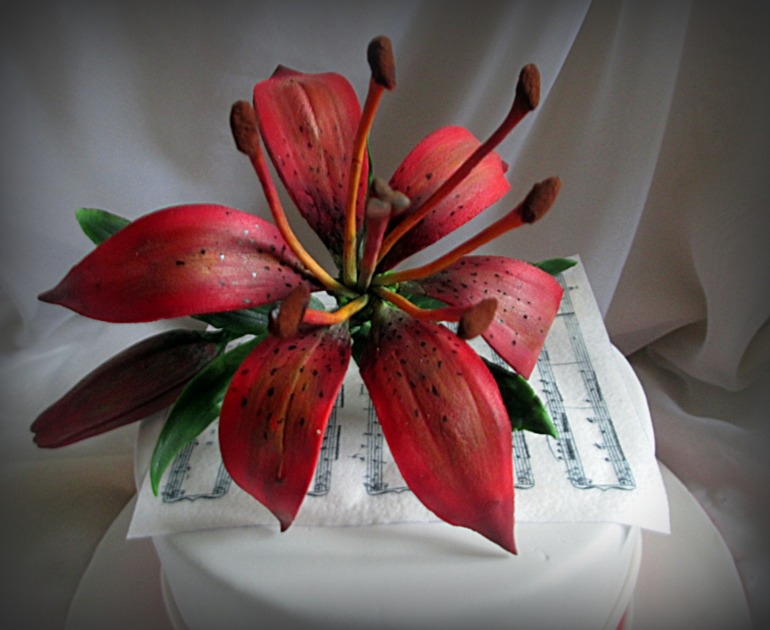 С лилией для девушки музыканта.