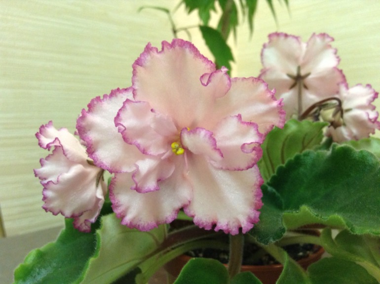 Лето продолжается!