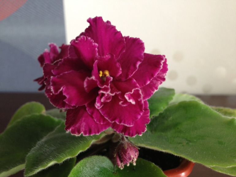 Лето продолжается!