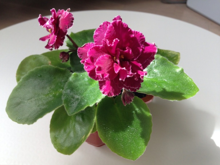 Лето продолжается!