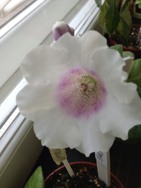 Лето продолжается!