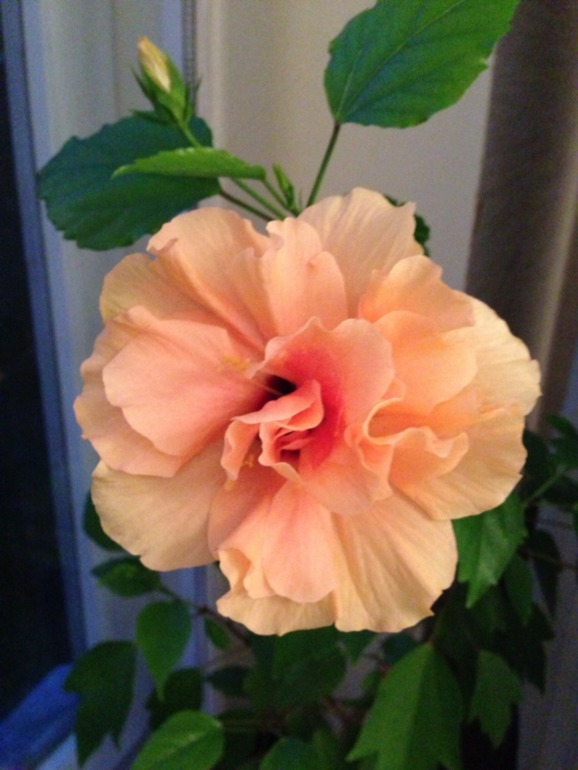 Лето продолжается!