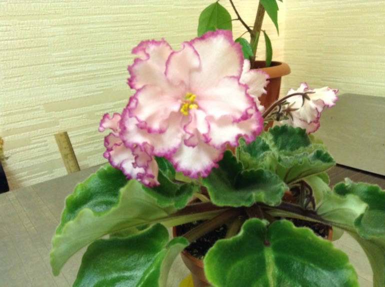 Лето продолжается!