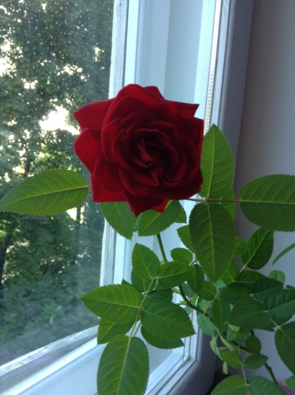 Лето продолжается!