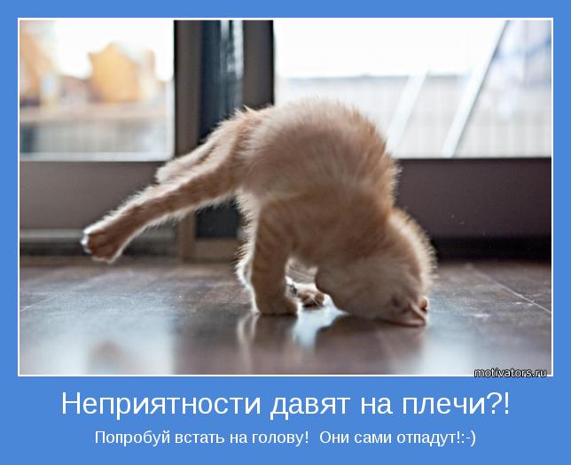 Взлет 65,день 11