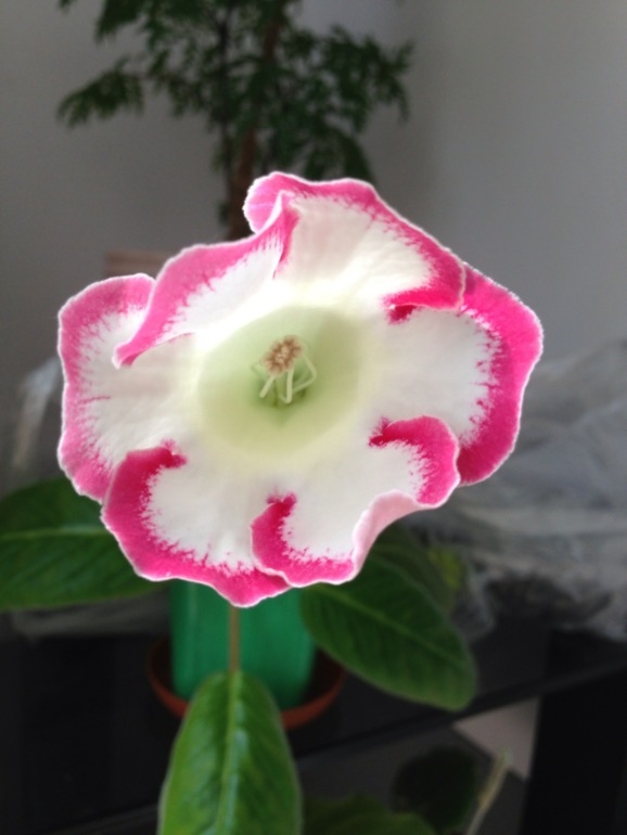 Лето продолжается!