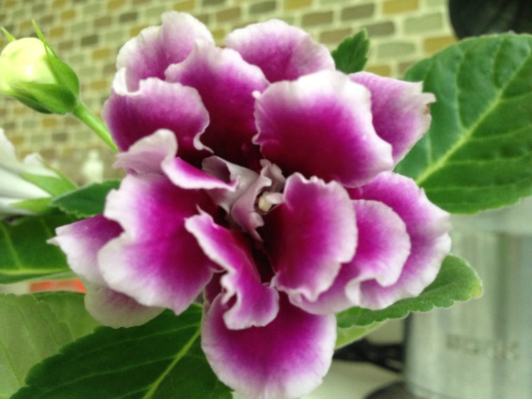 Лето продолжается!