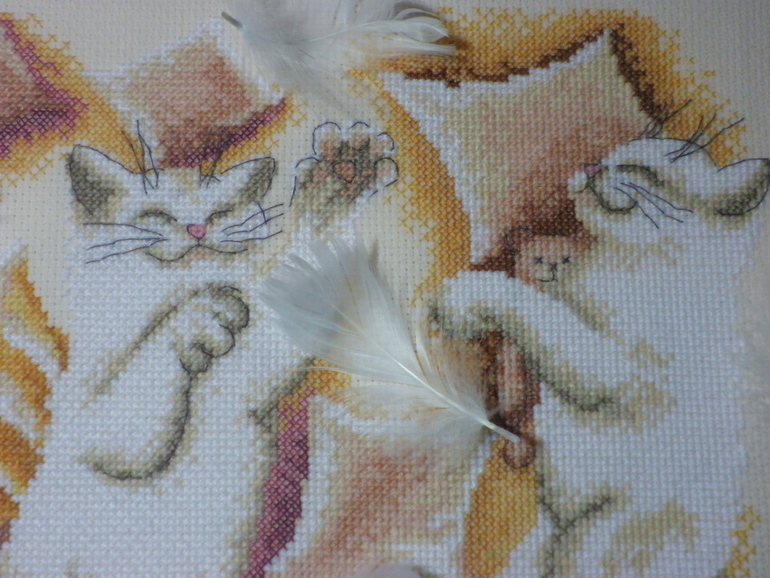 Белоснежные непоседы