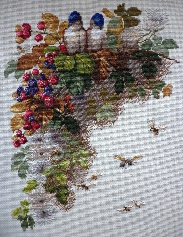 Птицы,пчёлы и ежевика