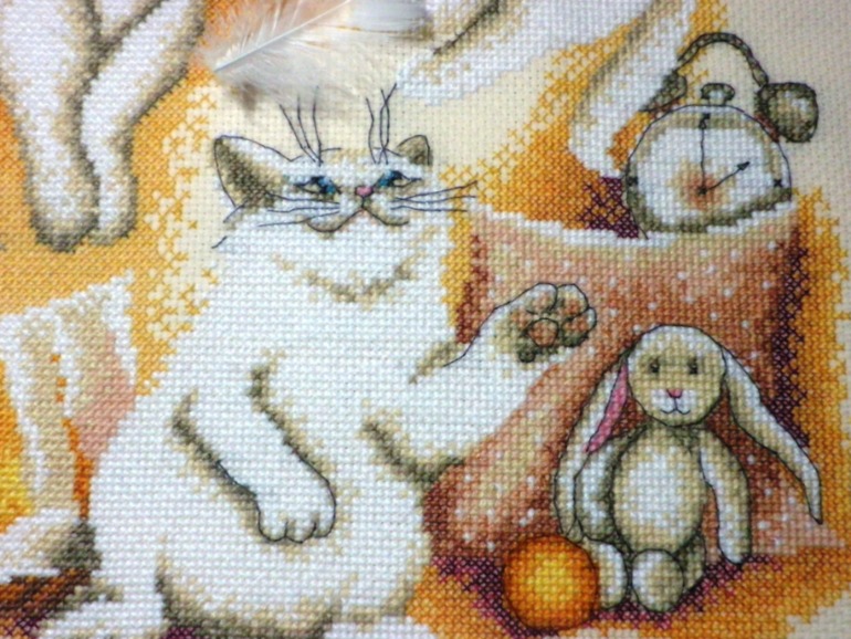 Белоснежные непоседы