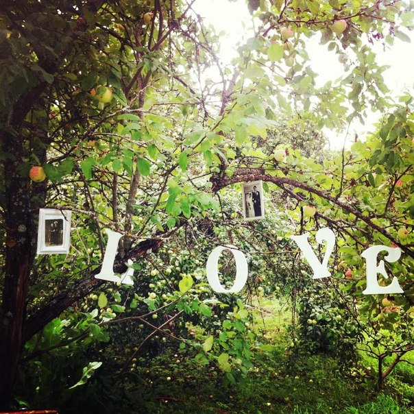 Свадьба с элементами декупажа.