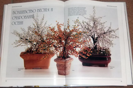 Елочка из бисера.