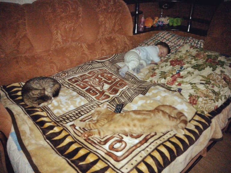 Спят усталые детишки, кошки спят...