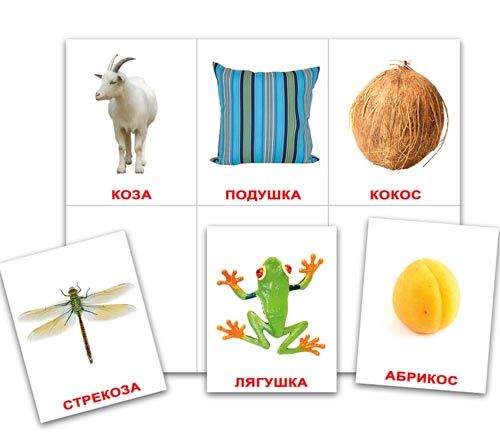 Предметные карточки лото (варианты использования).