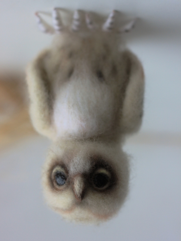 ЛЮБОПЫТНАЯ СОВА