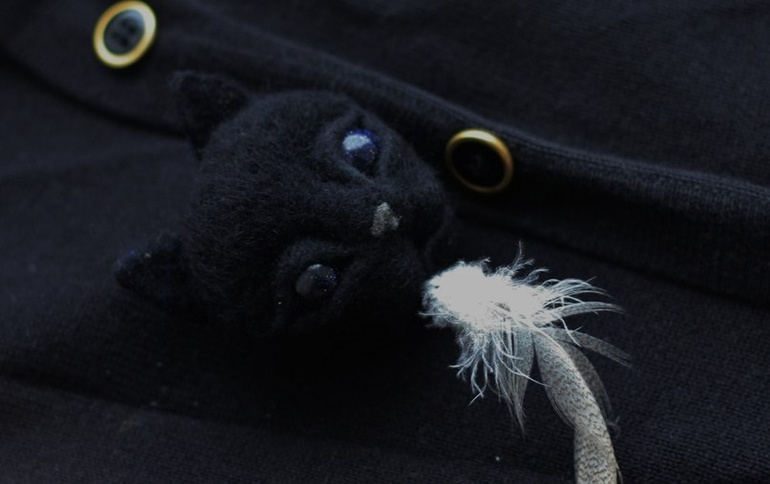 Брошь Авантюристка)