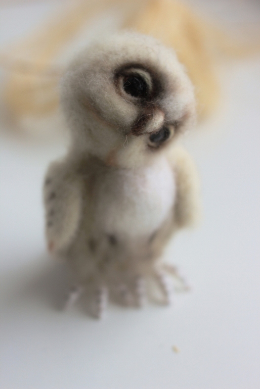 ЛЮБОПЫТНАЯ СОВА