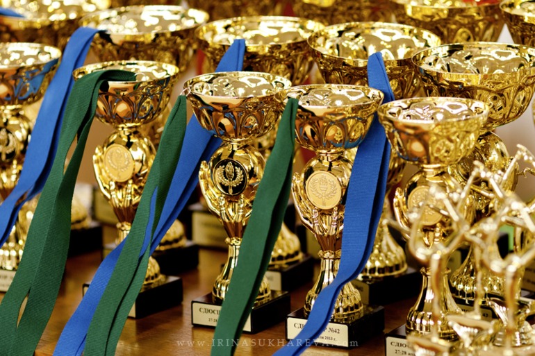 Соревнования по художественной гимнастике