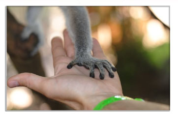 Как найти рамку в принтбуке