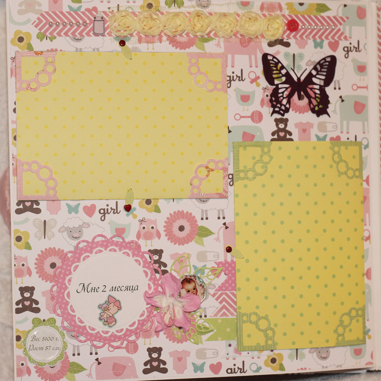 Альбомчик для Ариночки!