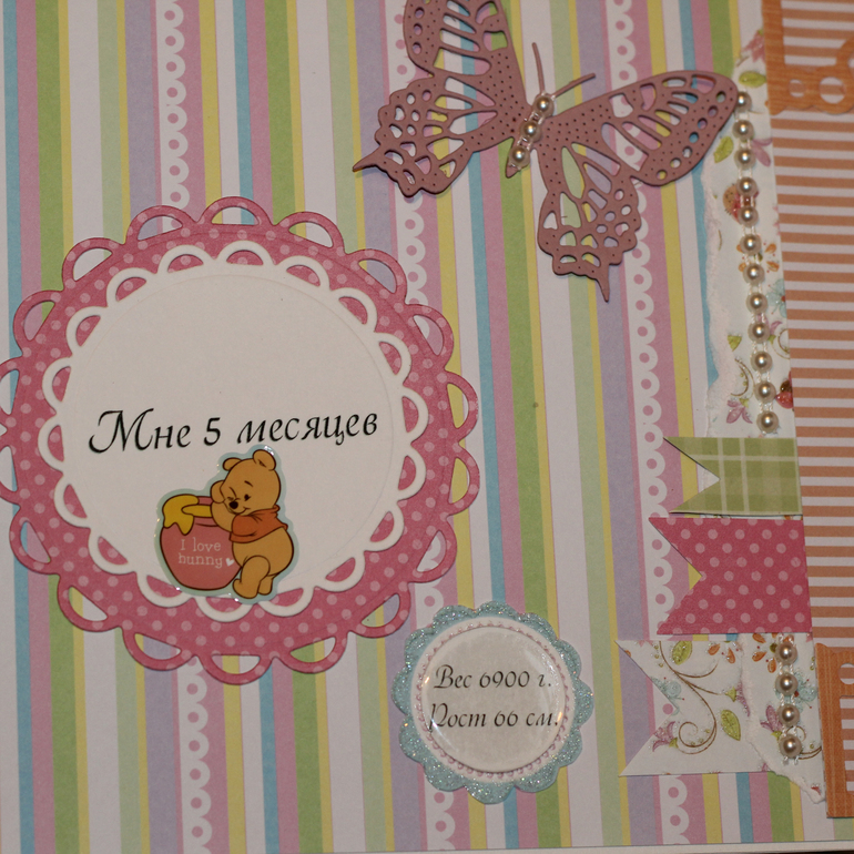 Альбомчик для Ариночки!