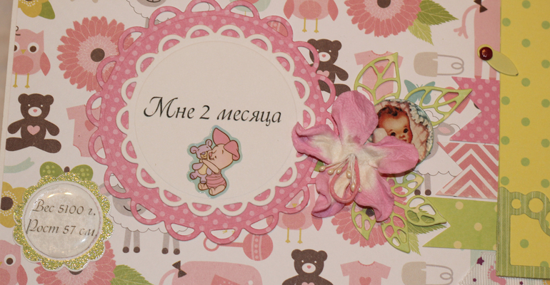 Альбомчик для Ариночки!