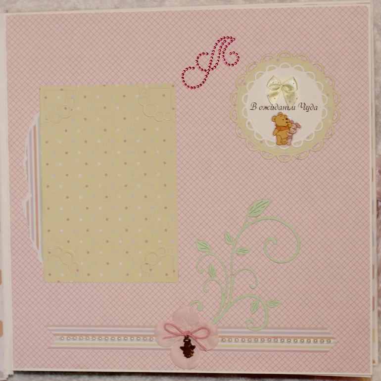 Альбомчик для Ариночки!