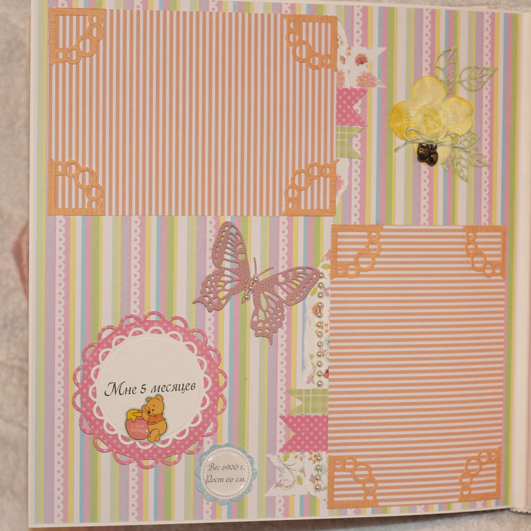 Альбомчик для Ариночки!