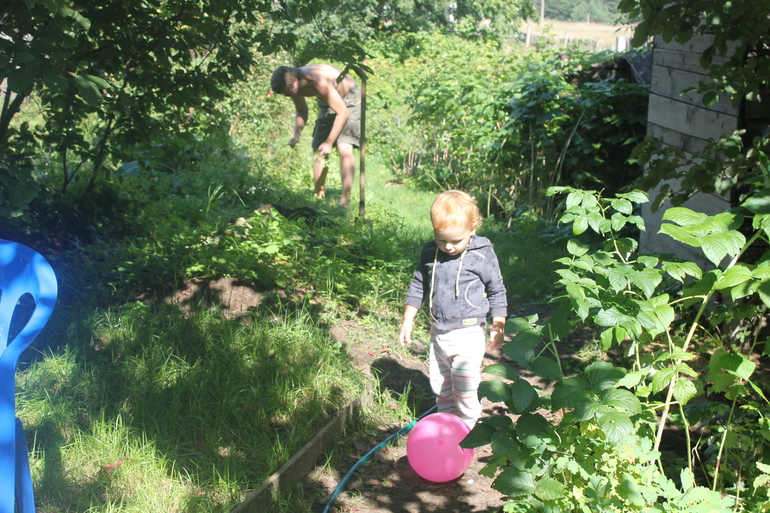 Наш дачный летний день