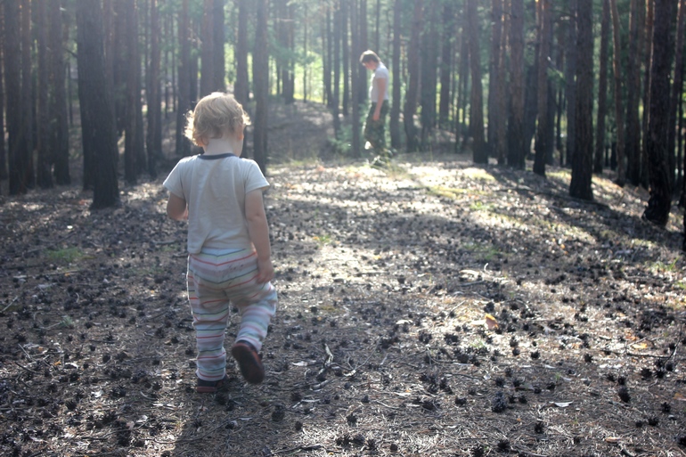 Наш дачный летний день