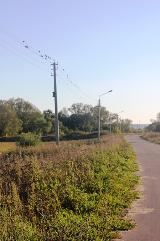 Наш дачный летний день