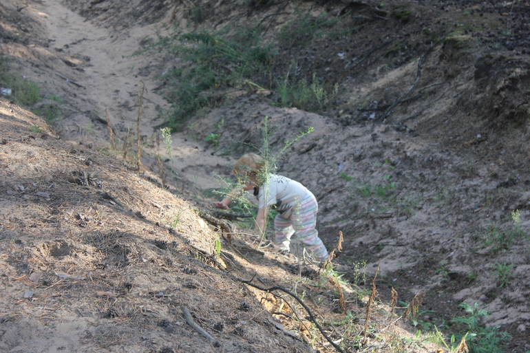 Наш дачный летний день