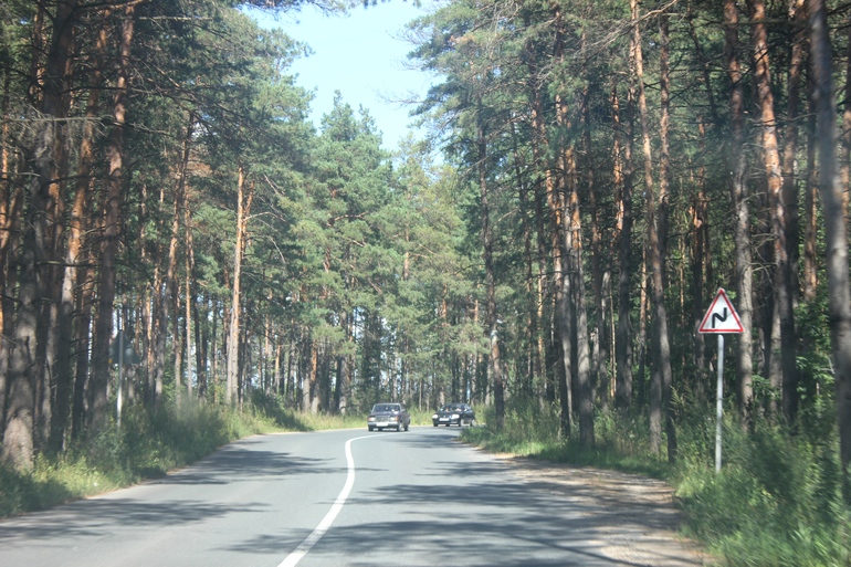Наш дачный летний день