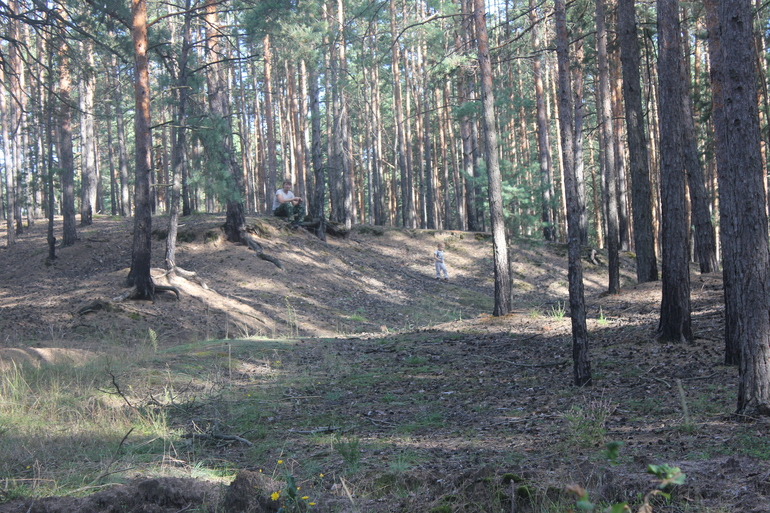 Наш дачный летний день
